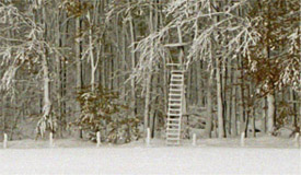 Landschaftsfoto Winterwald mit Jägerstand